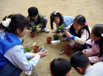 푸른 반송 만들기
