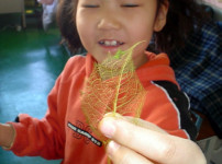 방학특강-에디슨과학실험교실4