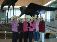 노인대학 봄야유회