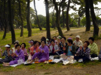 어르신대학 송림공원 봄나들이