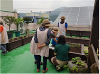 실버텃밭정원프로그램 ‘우리마을 텃밭살롱’