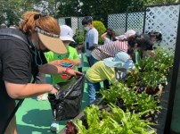 족텃밭봉사단 꿈꾸는 정원 활동을 하였습니다~