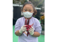 가족텃밭봉사단 '꿈꾸는 정원' 10월 활동(2)