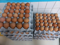 이가네닭발 후원물품 전달 <싱싱한 달걀이 왔어요!>