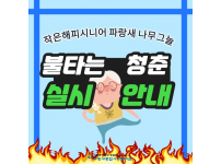 건강증진프로그램(불다는 청춘) 실시 및 참여자 모집