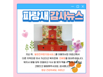 파랑새 감사뉴스