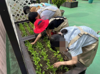 아동자연친화프로그램 ‘내 마음의 싹’ 종강